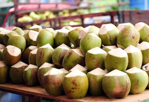 Natural tender coconut, Packaging Type : Green, Orange, Red