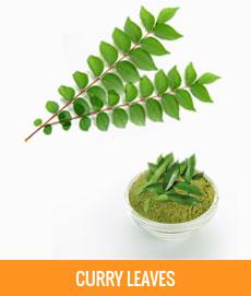 Curry Leaf