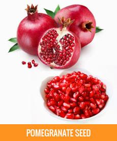 Pomegranate Seed