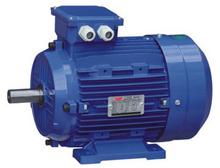 AC Synchronous Motor