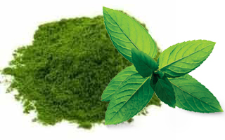 Mint Leaves Powder