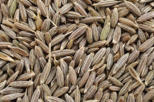 Cumin Seeds