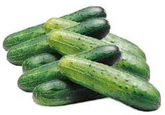 Cucumber