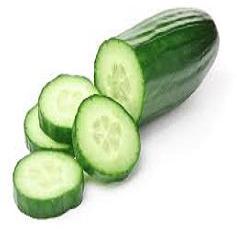 OOTY CUCUMBER