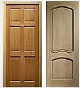 Skin Doors FRP Doors