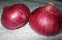 Indian Red Onion