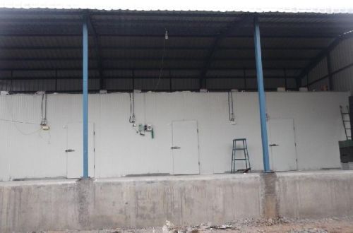 Ripening Chamber For Banana / Mango