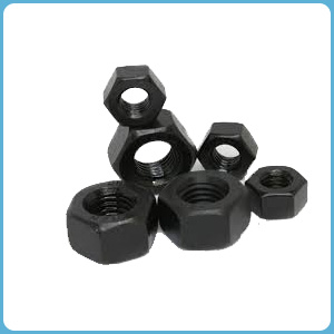 Hex Nuts