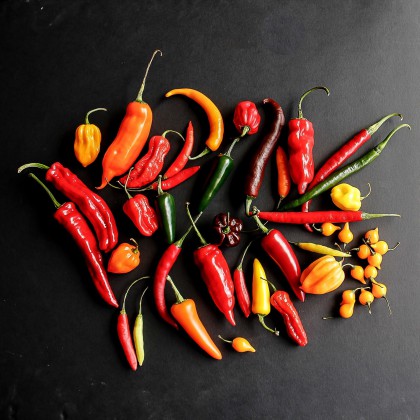 Chillies