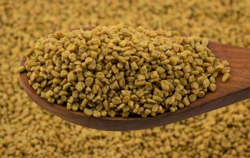 Fenugreek Seeds