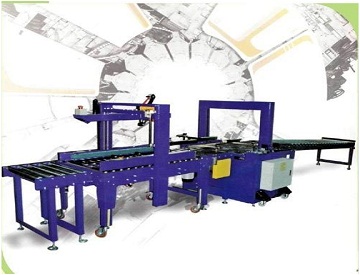Delite Packaging Line Machine