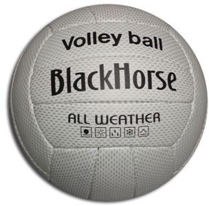 4564 Volley Ball