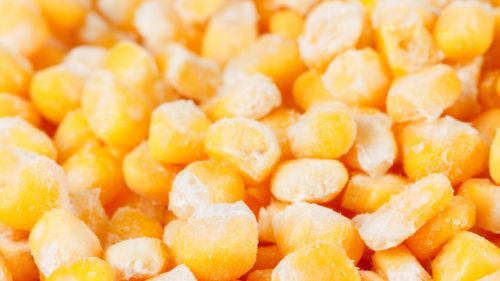 Organic Frozen Sweet Corns, For Bakery, Cooking, Pizza, Snacks, Certification : FSSAI