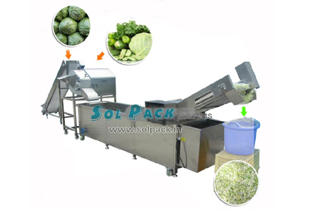 Cabbage Washing Machine