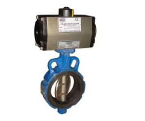 Butterfly Valve