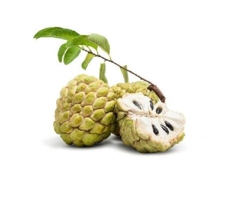Custard Apple Seed Oil