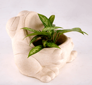 Polished Plain Marble Planter, Color : White