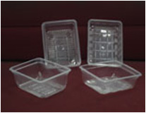 Disposable Plastic Containers