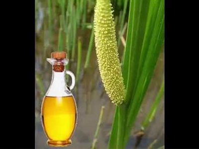 Calamus Root Oil