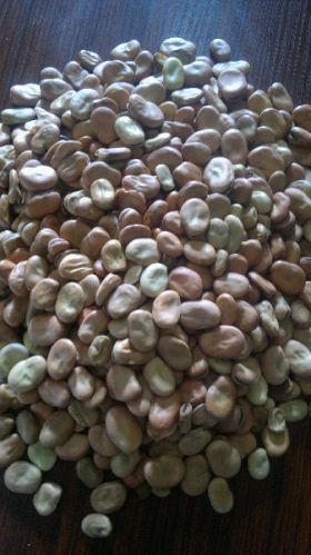 Dried Broad Beans