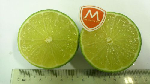 Common Fresh Lime, Packaging Type : Bright Green