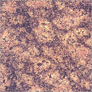 Bala Flower Gray Granite