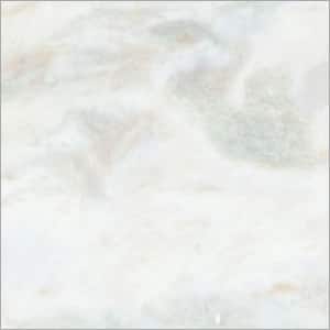 Lady Onyx White Marble
