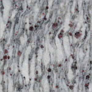 S K Blue Granite