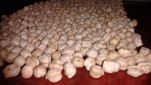 SPE Common White Chickpeas, Shelf Life : 12 Months