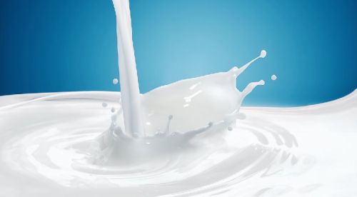 Dairy Milk, For Ice Cream, Bakery Products, Dessert, Food, Human Consumption, Form : Liquid