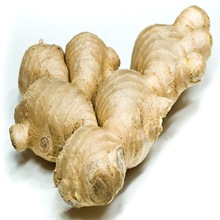 Ginger Root, Style : Fresh