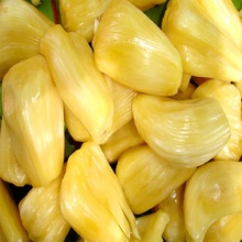 Common Jackfruits, Color : Yellowish