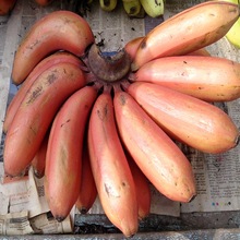 Red Banana