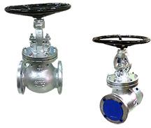 Globe Valve