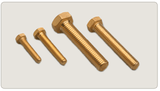 Prime Brass Bolts