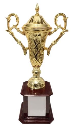 Sports Cup for Gift, Decoration, Award, etc
