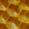 Bees Wax