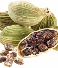Cardamom