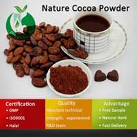 Natural Cocoa Powder for Pharmaceuticals, Healthcares, Cosmetics