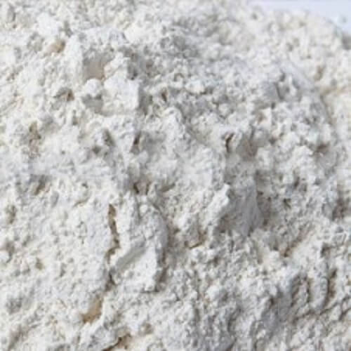 White Onion Powder