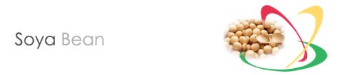 Soya Bean