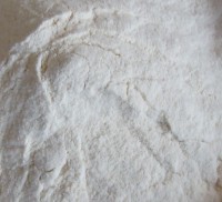 Dehydrated White Onion Powder