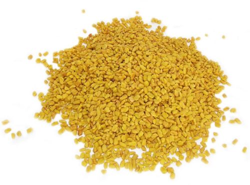 Fenugreek