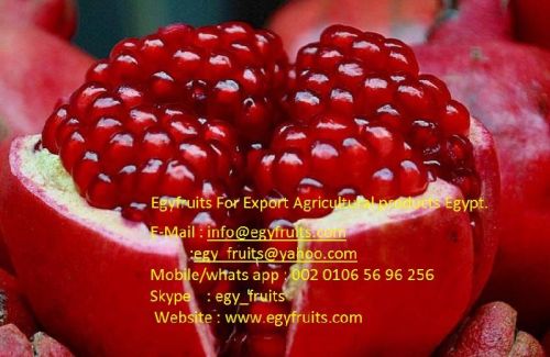 Egyptian Fresh Pomegranates