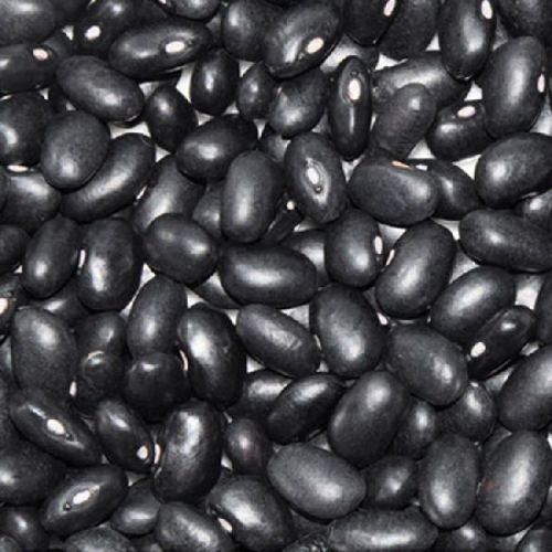 Black Purple Speckled Kidney Beans