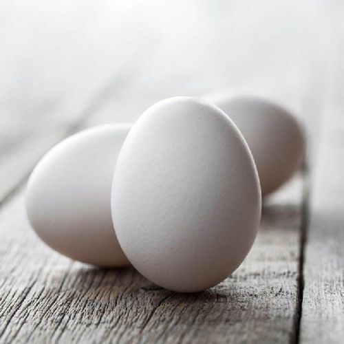 Egg