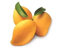 Totapuri Mango