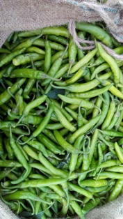 Green Chilli Peppers