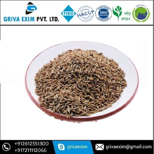 Common Raw Cumin Seed, Style : Dried