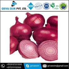 Round Onion, Color : Red